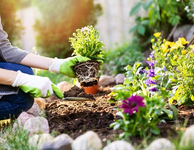 Starten Sie erfolgreich in die Frühjahrssaison 2025! Entdecken Sie beliebte Produkte, Dekoideen und Marketingtipps für Gartenbau & Floristik.